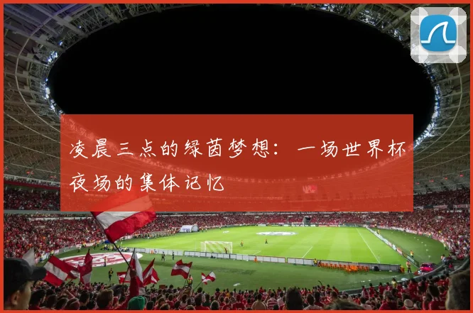 凌晨三点的绿茵梦想:一场世界杯夜场的集体记忆