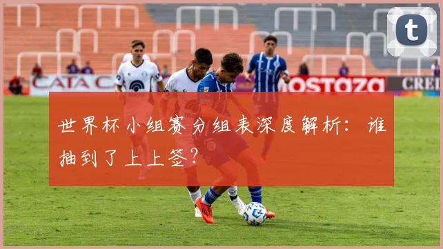 世界杯小组赛分组表深度解析：谁抽到了上上签？