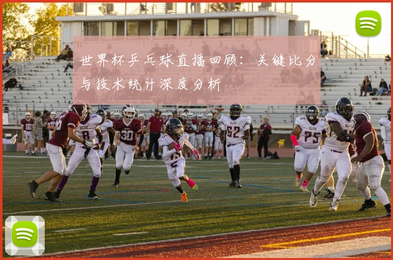 世界杯乒乓球直播回顾：关键比分与技术统计深度分析