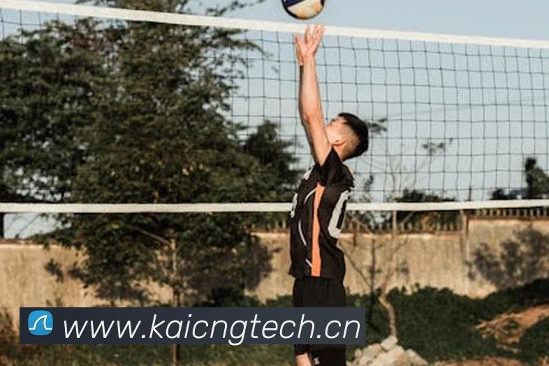 kaiyun官方网站入口APP 封面图